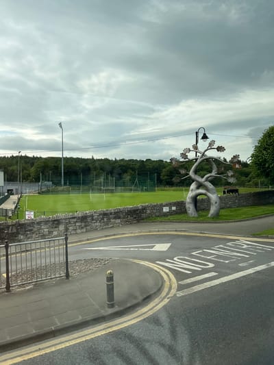 This image shows a street scene in Ballybofey, Ireland. In the foreground, there is a road with yellow double lines indicating parking restrictions. A white "NO ENTRY" sign is painted on the road. To the left of the road, there is a sidewalk and a metal fence. Beyond the fence, there is a stone wall. In the middle ground, there is a large metal sculpture of a tree with several branches. Behind the sculpture and the stone wall, there is a green sports field with goalposts, a tall light pole, and a line of trees. The sky is cloudy.