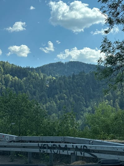 The image depicts a rural roadside scene with a forested mountain in the background. A silver guardrail, marked with black graffiti that appears to say "VEN YOV" on the top rail and "VEN YOV" on the bottom rail, runs along the right side of the frame. The guardrail has several bolts and appears to be made of metal. A sticker with a circular design and some text is visible on the lower part of the guardrail.
The mountain is covered in dense green trees, suggesting a temperate climate. The sky is blue with scattered white cumulus clouds, indicating it is daytime and likely fair weather. Some thin wires, possibly power lines or a ski lift cable, are visible stretching across the mountainside. In the foreground, on the left side of the image, there are tree branches with green leaves, framing the sky and the mountain.
Tiny pink dots are scattered across the sky and on the mountainside, which are likely digital artifacts or sensor noise. The overall impression is of a scenic natural landscape viewed from a road. The presence of the guardrail and the graffiti suggests human presence and activity in the area, though no people are directly visible in the frame. The scene appears to be located in Breitnau, Germany.