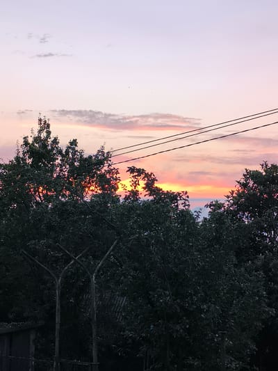 This is a photograph taken in Erge, Georgia, depicting a sunset. The sky displays a gradient of colors, transitioning from pale pink and lavender at the top to vibrant oranges and yellows near the horizon. Wispy clouds are scattered across the sky. In the foreground, the dark silhouettes of trees with lush green foliage dominate the lower half of the image. Between the trees, glimpses of the brightly colored sunset are visible. Three dark, parallel power lines stretch horizontally across the upper portion of the frame, passing over the trees. A faint, dark fence or structure is visible along the bottom left edge of the photograph. The scene is tranquil, with no people or explicit human activity evident.