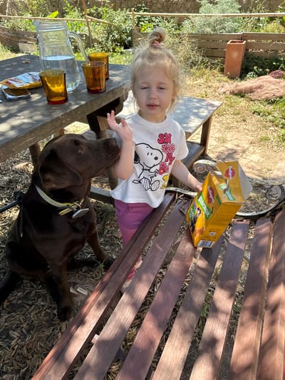 A young girl with blonde hair in a bun, wearing a white t-shirt with Snoopy and pink pants, is sitting on a wooden bench outdoors. She is holding a box of Pedigree dog biscuits. Next to her, a dark brown Labrador dog is sitting on the ground. The scene appears to be a garden or backyard in Santa Cristina d'Aro, Spain, with a wooden table and chairs, a pitcher of water, and several glasses on the table. The ground is covered with leaves and dirt, and there is vegetation in the background. The overall lighting suggests it is daytime and sunny.