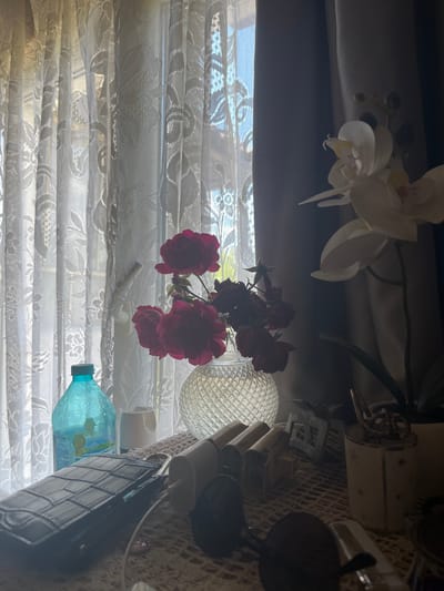 The image depicts an indoor scene, likely a windowsill or table, featuring a variety of objects against a backdrop of lace curtains and darker drapery. A light-blue plastic bottle with a green cap is positioned on the left side. To its right, a clear, faceted glass vase holds a bouquet of deep red roses. In the background, a white orchid with pink accents is visible. The foreground is occupied by a black, textured object, possibly a phone case or wallet, and several white electronic chargers. A crocheted doily or tablecloth serves as the surface for these items. The overall lighting suggests it's daytime, with light filtering through the lace curtains. No people are present in the image, and no specific location in Koziak, Bulgaria, can be identified from the visual information provided.