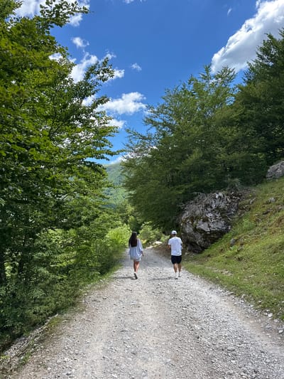 Two individuals, a male and a female, are walking away from the camera on a gravel path in a mountainous, wooded area. The female, on the left, wears a light blue oversized shirt and white shorts. The male, on the right, wears a white t-shirt, black shorts, and a white cap. Lush green trees line both sides of the path, with a larger cluster of trees and rocks on the right. The path leads upwards towards a heavily forested mountain range under a bright blue sky with scattered white clouds. The location is identified as Vusanje, Montenegro.