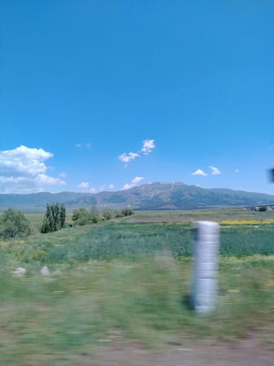 A wide-angle shot captures a scenic view of a mountainous landscape on a clear, sunny day. The sky is a vibrant blue with scattered white clouds. In the foreground, a blurred green field stretches across the frame, dotted with patches of yellow wildflowers. A white, reflective pole is positioned in the mid-ground, also blurred due to motion. Beyond the field, a line of trees stands against the backdrop of rolling hills. Further in the distance, a prominent mountain range dominates the horizon. The mountain slopes are a mix of green and brown, with visible patches of snow or lighter-colored terrain on its upper reaches. The overall impression is one of a rural, natural environment.