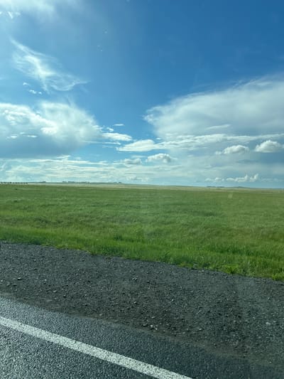 The image presents a wide-angle view of a vast, open rural landscape in Petropavlovkskiy, Russia, captured from a low vantage point beside a paved road. The upper portion of the frame is dominated by a clear, bright blue sky featuring scattered white clouds, ranging from wispy cirrus forms in the upper left to larger, more defined cumulus and stratocumulus clouds across the mid-sky. Sunlight creates a soft glare in the upper left quadrant. The horizon line is flat and extends broadly, characteristic of a plains or steppe environment. Along the distant horizon, indistinct dark shapes suggest clusters of trees or very distant structures. The midground and much of the foreground consist of an expansive field of lush, vibrant green grass or crops, showing some textural variation from growth or potential wind movement. In the immediate foreground, the lower section of an asphalt road is visible, identifiable by its dark grey, granular surface. A prominent, solid white line runs diagonally from the bottom left corner, marking a lane boundary. The road surface to the right of the white line appears slightly reflective. The paved road transitions directly into the green field on the right. No individuals, animals, or specific man-made objects, beyond the road itself and the distant horizon shapes, are discernible within the scene. The overall lighting suggests bright daytime conditions.