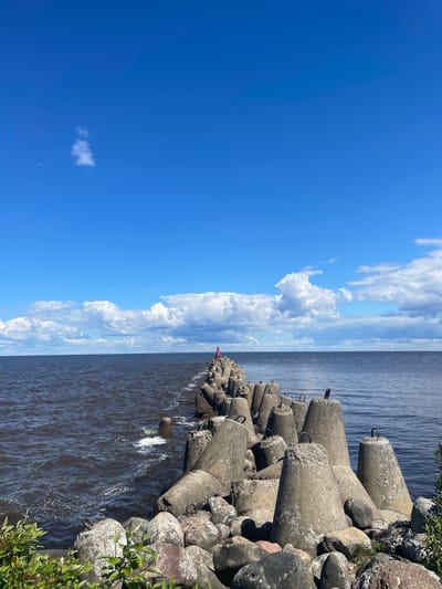 The media file shows a view of a concrete breakwater extending into a body of water, with a clear blue sky and scattered clouds above. The breakwater is constructed from large, interlocking concrete tetrapods and smaller, rounded stones. Some of the tetrapods have metal rings embedded in them. The water appears dark and choppy, with small waves lapping against the breakwater.
In the distance, the water stretches to the horizon, where it meets the sky. The sky is a vibrant blue, with several fluffy white clouds. A single, small white cloud is visible in the lower left portion of the frame. The sun is shining brightly, casting shadows on the breakwater. The overall impression is one of a clear and sunny day.
The scene is likely set in a coastal or lakeside location, given the presence of the breakwater and the expansive water. The location context suggests this is Belozersk, Russia. The image appears to have been taken during daylight hours, likely in the afternoon, judging by the quality of the light and the presence of shadows. There are no people visible in the image. The focus is on the natural elements and the man-made structure. A small red marker is visible on the breakwater in the distance.