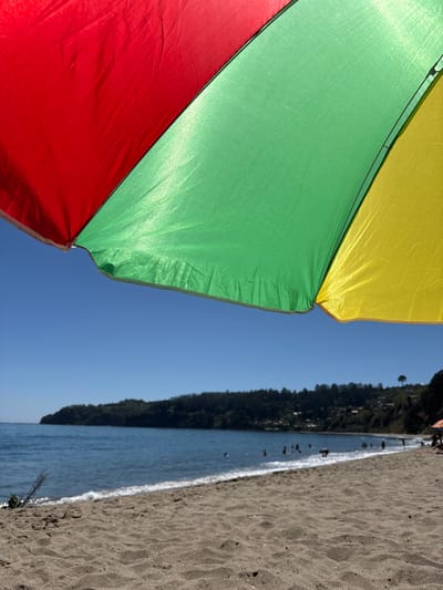 The scene depicts a beach in Tomé, Chile, viewed from beneath a multi-colored beach umbrella. The umbrella's red, green, and yellow fabric panels occupy the upper frame. Below, a light brown sandy beach transitions into calm, blue-grey ocean water. Approximately ten to fifteen indistinct human figures are visible in the water, engaged in wading or swimming. The distant shoreline consists of a dark green, tree-covered promontory extending across the horizon. Scattered small structures are discernible on the hillside to the right, with one isolated tall tree prominent on the upper slope. The sky is clear and uniformly blue, with no cloud formations. A small piece of driftwood or debris is visible on the sand at the far left water's edge.