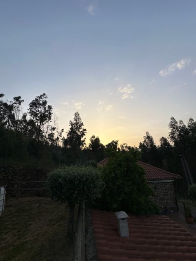 The image shows an outdoor scene in Celorico de Basto, Portugal, at dusk or dawn. A clear sky transitions from light blue to a yellow-orange hue near the horizon. Silhouetted trees line the skyline. The corner of a building with a terracotta tiled roof is visible. There's also a glimpse of stonework, possibly part of a wall or another building element. A bush or tree with green foliage appears in the foreground. The image is taken at a slight angle, with the sky occupying the majority of the frame. The ground is partially visible and appears to be grass or vegetation.