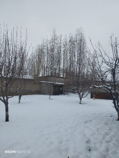 The image displays a snow-covered outdoor scene in Beshtam, Uzbekistan, under an overcast sky. A uniform layer of pristine white snow blankets the ground, extending from the immediate foreground into the distance. Several deciduous trees, stripped bare of leaves, are distributed across the landscape; some smaller trees in the foreground and midground exhibit white paint around their lower trunks. In the background, a dense row of tall, slender, leafless trees forms a natural screen beneath a uniformly light grey sky. A low, light-colored brick wall traverses the midground. Situated behind this wall, slightly to the left of the frame's center, is a small, single-story building, likely a shed or outbuilding, constructed from light-toned blocks and featuring a dark, open entrance. To the right in the background, a dark, possibly wooden, structure or barrier is partially visible. No individuals or active subjects are present, depicting a static winter environment with soft, diffused lighting.