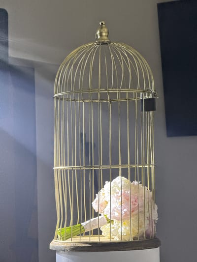 A golden birdcage sits on a pedestal, its door secured with a small black padlock. Inside the cage rests a bouquet of white and pink flowers, their stems bound with a white ribbon and green leaves. The background is a muted gray wall, with a strip of bright blue light cast from the left, creating a stark contrast and dramatic shadows. The image is taken from a low angle, emphasizing the birdcage. No people or animals are present in the scene. The location is identified as Raguviškiai, Lithuania.