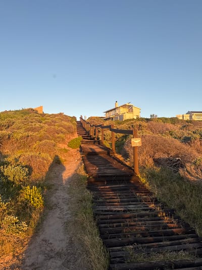 This media file captures a serene coastal landscape bathed in the warm glow of either sunrise or sunset. The image, when properly oriented, shows a clear, bright blue sky dominating the upper left portion. Below, and extending across the right half, is a vegetated dune, densely covered with various shrubs and grasses, some appearing dry.
A rustic wooden boardwalk or fence ascends diagonally from the lower right towards the middle-left of the frame, seemingly cutting through the dune vegetation. Adjacent to this structure, a sandy path winds along the base of the dune in the foreground on the right. Several residential buildings, characterized by their light-colored facades and multiple windows or balconies, are nestled among the vegetation on the higher parts of the dune, particularly visible above and to the left of the boardwalk.
A notable object is a wooden sign affixed to one of the posts of the boardwalk. The text "GROOTBOS" is clearly visible on this sign in a white, stylized font, with additional, smaller, illegible text beneath it.
No people are present in the scene. The low-angle, golden light casts soft shadows, confirming the early morning or late afternoon setting. The clear sky indicates fair weather. The combination of dune vegetation, a boardwalk, and coastal homes is consistent with the provided location context of Overstrand Local Municipality, South Africa, suggesting a protected or managed coastal environment, possibly leading to a beach. The overall impression is one of natural beauty and tranquility.