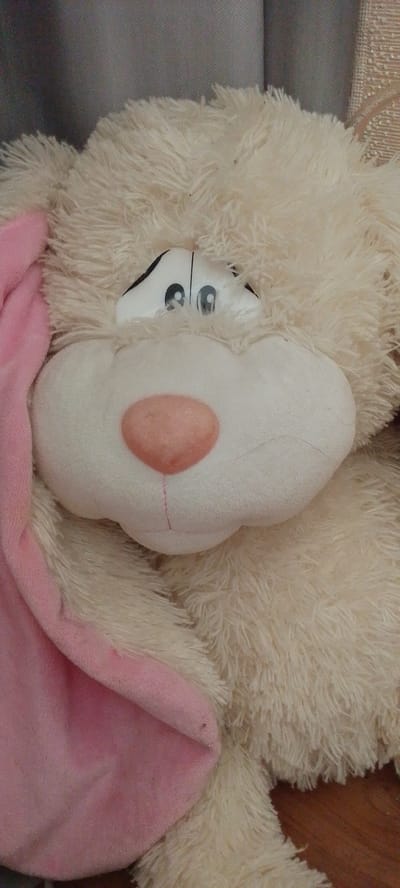 This is a close-up, vertical, indoor shot of a light cream-colored teddy bear. The bear's face is the central focus. Its large, round, light pink nose is prominent, with a small vertical stitched line below it, suggesting a mouth. The eyes are large and cartoonish, with black outlines and blue irises, looking directly at the viewer. A soft pink fabric, possibly part of a blanket or another toy, is draped over the bear's left side, obscuring part of its head and body. The background is blurred but appears to be a textured surface, possibly curtains or upholstery, in muted gray and beige tones. The teddy bear's fur is long and fluffy, adding to its soft and cuddly appearance. The lighting suggests an indoor environment, possibly during the day, with no indication of extreme weather conditions. The overall emotion conveyed is one of comfort and perhaps a hint of melancholy due to the bear's slightly downturned eye-line. There is no visible text in the image.