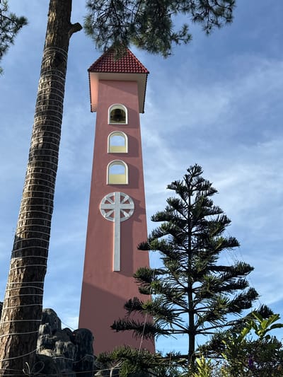 The image features a tall, pink tower with a tiled roof, set against a bright blue sky with scattered clouds. The tower has several arched windows and a decorative circular emblem with spokes. In the foreground, a large tree trunk wraps around the lower portion of the frame, its bark textured and its circumference bound with light-colored bands. Pine branches from trees on either side of the tower partially obscure the view, reaching towards the sky. The scene suggests an outdoor setting, possibly a garden or park, given the presence of trees and rocks visible on the right side of the frame. The lighting indicates it is daytime, likely late morning or early afternoon, with the sun casting subtle shadows. The overall atmosphere appears serene and tranquil. There is no visible text in the image. The location context provided is Đa Thọ, Vietnam.