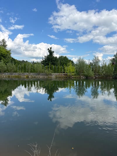 This image depicts a reflective scene of trees, clouds, and a stone wall bordering a body of water. The orientation of the image is vertical, with the sky and clouds at the top and the water and its reflection at the bottom. A prominent feature is a line of trees on the left, with their reflections clearly visible in the water. A stone wall runs horizontally through the middle of the image, dividing the trees from the water. The sky is a vibrant blue, dotted with fluffy white clouds. The water is dark and appears to be calm, with gentle ripples distorting the reflections. The overall impression is one of a peaceful, natural landscape, likely in a rural setting given the mention of "Салонскі сельскі Савет, Belarus." The time of day appears to be daytime, with bright sunlight casting reflections on the water. There is no visible text in the image.