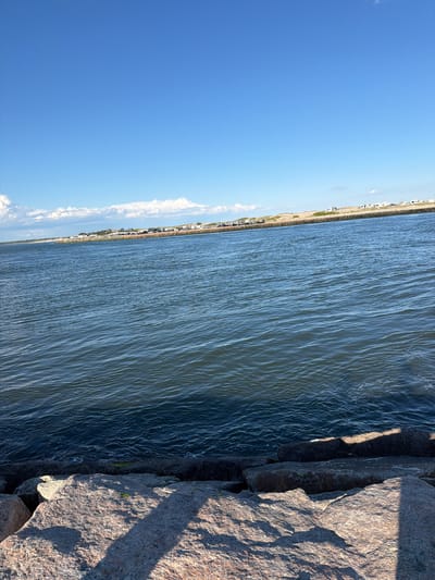 The image depicts a body of water with a distant shoreline visible under a clear blue sky. The water is a deep blue-green, with small ripples on its surface, indicating a gentle breeze. In the foreground, large, rough-hewn rocks form a boundary, casting shadows in the sunlight. Along the shoreline in the distance, a line of buildings, possibly houses or recreational vehicles, is visible, set against a backdrop of sandy dunes and vegetation. The scene suggests a coastal or waterfront area, likely a park or public access point given the rocky foreground. The location is identified as Hampton Bays, United States of America. There are no people visible in the image.