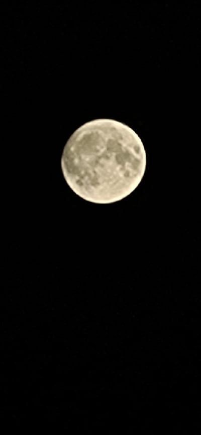 A full moon is visible against a black sky. The moon is illuminated and shows detailed surface features, including craters and maria. There are no other objects or subjects visible in the image. The scene is dark and clear, suggesting a night sky. No specific location in Veshenskaya, Russia is indicated by the image.