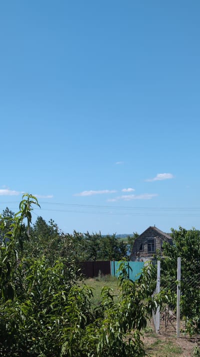 In Bulatselivka, Ukraine, a summer day unfolds under a clear blue sky with scattered white clouds. The foreground is dominated by lush green foliage, likely from fruit trees, with visible branches and leaves. A wire fence with white posts runs through the middle ground. Behind the fence, a small, weathered stone building with a dark roof and a single window stands against a backdrop of trees and a turquoise fence. Beyond the immediate property, a glimpse of water and distant green hills suggests a rural or semi-rural setting. Power lines are visible horizontally across the mid-distance.