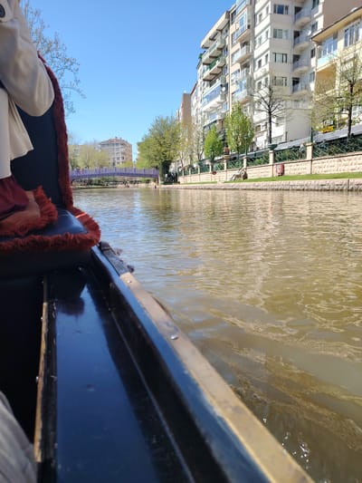 The image presents a bright, sunny daytime view from inside a boat navigating a canal or river in Eskisehir, Turkey. The perspective is low, looking forward along the waterway, suggesting a leisurely boat tour.
In the immediate foreground on the left, part of a person is visible, wearing a light-colored coat with a prominent dark red, furry trim around the collar and sleeves. The boat itself has a dark blue or black hull with a subtle gold trim along its upper edge. The seat upholstery also features the same dark red, furry material.
The water of the canal appears a brownish-green hue, with ripples on its surface reflecting the sunlight. Both banks of the river are lined with sturdy stone retaining walls. On the right bank, a strip of green grass separates the water from a decorative green metal fence with a textured stone base. Behind this fence stands a row of multi-story, light-colored apartment buildings, characterized by numerous balconies, some of which are enclosed. A sign on one of these buildings is partially visible, indicating "COFFEE".
In the mid-ground, a distinctive arched bridge, painted a light purple or lilac color, spans the waterway. Pedestrians can be seen crossing the bridge and walking along the tree-lined banks. More buildings and lush green trees extend into the background under a clear, bright blue sky devoid of clouds. The scene conveys a calm, pleasant urban environment ideal for a boat ride.