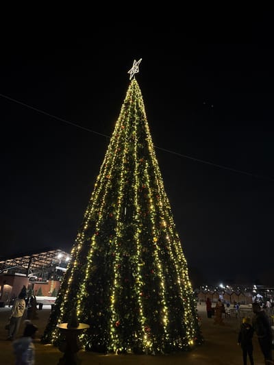 A towering Christmas tree adorned with layers of warm, golden lights and scattered red ornaments dominates the frame against a dark night sky. The tree is topped with a glowing star. Below, hints of a building's framework and several people can be seen. The view is angled upwards, emphasizing the tree's immense height. A faint wire stretches across the upper portion of the image.