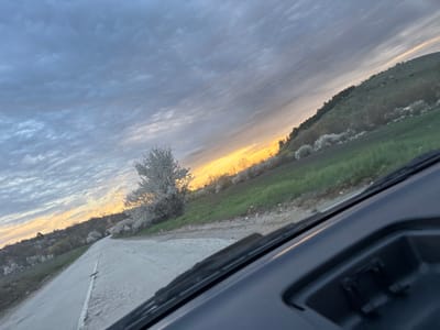 The image shows a view from inside a car, likely driving on a road in the vicinity of Lepitsa, Bulgaria. The sky is overcast with striated clouds and a band of orange light indicating either sunrise or sunset on the horizon. A paved road stretches ahead, with a white line marking the edge. The landscape features trees with white blossoms on either side of the road. To the right, a green field leads up to a hillside covered in trees. The dashboard of the car is visible in the foreground, including the windshield wipers. No people are visible.