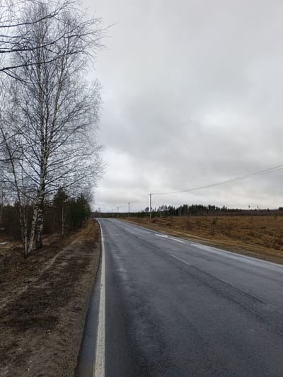 The image presents a view of a road in a rural setting, likely in the vicinity of Krasnyi Mayak, Russia. The road is made of asphalt and appears wet, possibly due to recent rain. A white line marks the edge of the road. To the left of the road is a dirt shoulder with sparse vegetation and a group of bare trees, identified by their distinctive white bark. In the background, the landscape consists of a mix of vegetation, including bare shrubs and trees, under a cloudy sky. Power lines are visible running parallel to the road in the distance. The overall mood is overcast and damp.