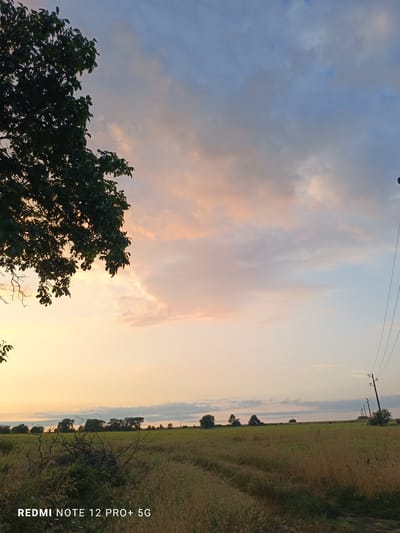 This media file depicts a rural landscape at sunset in Kateritsa, Bulgaria. The scene is dominated by a vast, open field with tall, dry grass and scattered bushes in the foreground. A dirt path winds through the field, suggesting a rural or agricultural setting. In the distance, a line of trees forms a natural horizon, punctuated by a few scattered structures and telephone poles. The sky is a dramatic canvas of soft clouds tinged with hues of pink, orange, and blue, indicative of a sunset. A large tree with dark green foliage occupies the upper left portion of the frame, its branches reaching towards the colorful sky. The lighting suggests it is late evening, with the warm tones of the sunset casting a serene and tranquil mood over the landscape. The overall impression is one of peaceful solitude and natural beauty. Visible text at the bottom of the image reads "REDMI NOTE 12 PRO+ 5G".