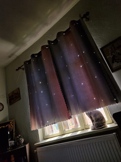 A cat sits on a windowsill, looking out a window covered by a star-patterned curtain. The room appears to be in Raduvene, Bulgaria, with sunlight streaming through the window, casting shadows on the ceiling and walls. On the left side of the image, a shelf holds a framed picture, a vase of flowers, and other miscellaneous items. A radiator is visible below the windowsill.