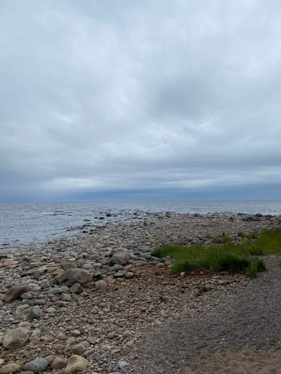 An overcast day at a rocky shoreline in Motornoe, Russia. The image shows a beach covered with numerous smooth, rounded stones and pebbles of varying sizes and colors, ranging from light grey to dark brown. Some patches of green grass are visible growing amongst the rocks. The sea, a muted blue-grey, stretches to the horizon under a sky filled with dense, grey clouds. A few faint ripples disturb the water's surface. The composition is dominated by the natural textures of the stones and the atmospheric conditions.