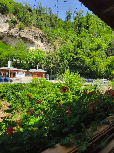 The image depicts a scenic view in the city of Narechenski Bani, Bulgaria. In the foreground, a planter box filled with lush green foliage and vibrant red flowers is visible, partially obscuring the view. Behind the planter box, a road runs horizontally across the frame, bordered by a metal railing.
On the left side of the road, two small wooden buildings are situated. The building on the left is a restaurant with windows and curtains. A blue car is parked in front of it. The building on the right is smaller and appears to be a separate structure, possibly an extension or another business, with a red door and windows. A sign on the left building features text and images.
Beyond the road, a steep, rocky hillside is present, covered in dense green trees and vegetation. The sky above is clear and blue. The overall scene suggests a tranquil, natural setting with established infrastructure. The presence of buildings and a road indicates a developed area within a natural landscape.