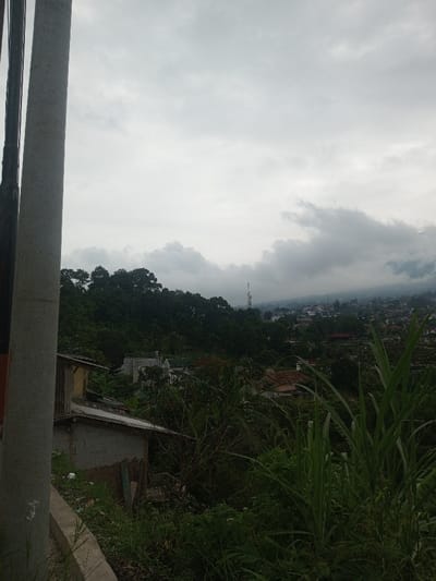 The image depicts an elevated view overlooking a section of Bhupalpally, India, under an overcast sky. In the immediate foreground, a light-colored concrete utility pole occupies the left side, with dark wires or additional poles partially visible to its right. Below the pole, a concrete ledge marks the edge of a slope. The lower right foreground is dominated by tall, green grassy vegetation.
Midground elements include a small, simple structure on the left with concrete block walls, a wooden side, and a corrugated metal roof. Further back and to the right, another light-colored building is partially visible. The landscape descends into a valley filled with dense green foliage and trees, interspersed with residential buildings.
In the background, a residential area of Bhupalpally extends across the frame, featuring numerous structures with varying roof colors, including reddish-brown and grey. A prominent cellular or transmission tower stands amidst these buildings in the central-right background. Distant hills or mountains are visible on the horizon, partially obscured by cloud cover and atmospheric haze. The sky is uniformly grey and heavily overcast. No individuals or specific actions are discernible.