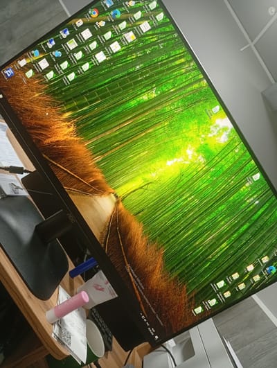 The image shows a computer monitor displaying a bamboo forest wallpaper. The monitor is placed on a wooden desk. On the desk, to the left of the monitor, there are some papers, a tube of what appears to be lip balm or cosmetic, and a blue pen. A black computer stand is visible beneath the monitor. The overall environment appears to be an office or home setting. The specific location within Osh City, Kyrgyzstan, cannot be determined from the provided image.