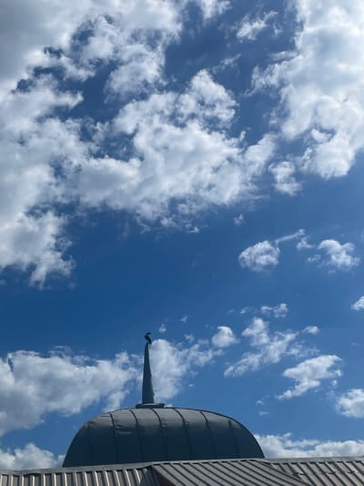 A dark bird, possibly a crow, perches atop a pointed spire on a domed structure against a bright blue sky filled with scattered white clouds. The structure, likely part of a building in Ливадийский поселковый совет, Ukraine, features a dark gray, ribbed dome and a sloped, corrugated metal roof visible at the bottom of the frame. The lighting suggests it is daytime with clear weather.