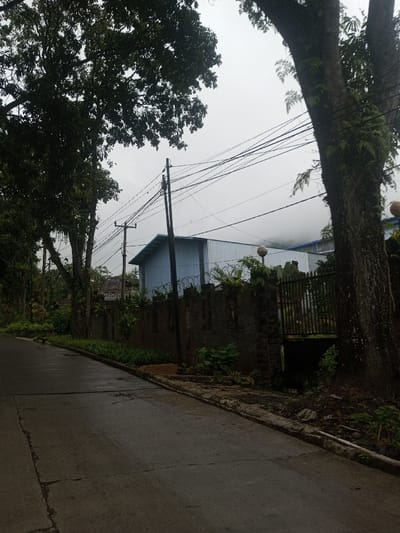 A street scene with a narrow, wet asphalt road curving slightly uphill. A dark stone wall with sporadic vegetation runs along the right side of the road, topped with barbed wire and obscured by trees. A light blue, industrial-looking building is visible behind the wall. Power lines crisscross overhead against a cloudy, overcast sky. Lush greenery and large trees frame both sides of the road, creating a dense, natural environment.