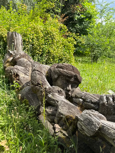 The image shows a close-up, eye-level view of a weathered, carved wooden sculpture lying horizontally in a grassy outdoor environment. The sculpture, appearing to be a human figure or face, is made from a thick log and exhibits detailed carvings. The wood is dark and textured, with visible grain and cracks, and is partially covered in moss and lichen.

The sculpture is surrounded by lush green grass and various wild plants, including some with seed heads. Behind the sculpture, a dense thicket of green foliage and trees forms the background. The lighting suggests a bright, sunny day. The specific location in Yunost', Russia is not evident from the visual information provided in the image.