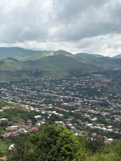 This is a vertical, high-angle, full shot of a densely populated mountainside town. The town, identified as Goris, Armenia, sprawls across a steep, green mountain slope. Numerous houses with red and white roofs are nestled among thick green trees, creating a textured mosaic. The houses appear to be of various sizes and architectural styles, with some showing signs of age. Several roads and pathways wind through the settlement. Solar panels are visible on the roofs of some houses, indicating a blend of traditional and modern infrastructure.

In the background, imposing green mountains rise, their slopes dotted with sparse vegetation and rocky outcrops. The sky above is overcast with soft, grey clouds, suggesting a diffused light and potentially cooler weather. The overall scene depicts a vibrant community integrated into a dramatic natural landscape. There is no visible text in the image. The activity taking place is simply the existence and habitation of the town within its mountainous setting. The time of day appears to be daytime, but the overcast conditions prevent a precise determination. The emotion evoked is one of awe at the scale of the mountains and the resilience of the community inhabiting such a challenging terrain.