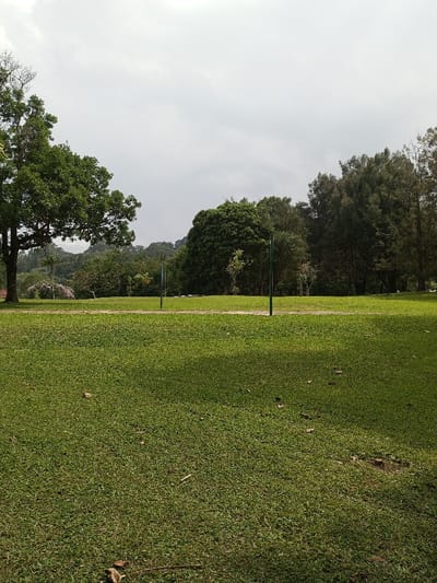 The image depicts an outdoor park or green space located in New Serchhip, India, under an overcast sky. The foreground consists of closely mown green grass with scattered brown leaves and small patches of visible earth. A faint, light-colored track or path traverses horizontally through the midground. Two slender green poles are vertically embedded in the grass near this path, one to the left of the center and the other to the right. The background is dominated by dense foliage and numerous trees of varying heights and shades of green, with some lighter-colored blossoms visible towards the left side. No individuals, animals, or man-made structures other than the poles and path are discernable within the frame.