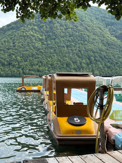 In Ćusine, Bosnia and Herzegovina, a serene lake scene unfolds. In the foreground, a wooden dock leads to a row of small, yellow and brown pedal boats, their stylized car-like designs evident. One boat, numbered "5" on its black seat, is prominently featured. Further out on the calm, rippling water, another similar boat is visible. The lake is bordered by a densely forested, green mountain that rises majestically in the background, its slopes covered in a lush canopy of trees. Overhanging branches with green leaves frame the top of the image, suggesting a natural, outdoor setting.