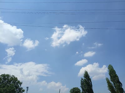 The image depicts a clear blue sky with scattered white cumulus clouds. Several dark, thin power lines traverse the upper portion of the frame horizontally. In the lower left, the dense green foliage of a large tree is visible, and to its right, a slender, dark-colored telecommunication tower with antenna equipment at the top extends upwards. Along the bottom edge, the tops of more trees can be seen, some tall and slender with pointed canopies, suggesting a species like poplars, while others are broader. The scene is likely an outdoor environment on a sunny day, possibly on the outskirts of a city given the presence of both natural elements like trees and clouds, and man-made infrastructure like power lines and a communication tower. The location is identified as Osh, Kyrgyzstan.