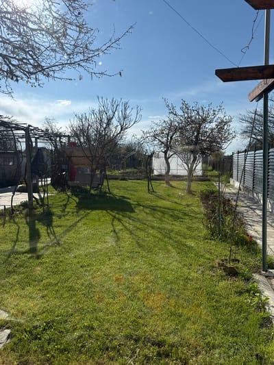 The image depicts a residential backyard in Okop, Bulgaria. The yard is covered in green grass, with several bare trees casting shadows across it. A greenhouse is visible in the background. A weathered pergola structure stands in the foreground, possibly near a dwelling. There are no people visible. The sky is blue with scattered clouds.