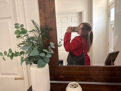 An indoor, vertically oriented image (originally inverted) captures a person taking a mirror selfie. The main subject is a young person, visible from the chest up, reflected in a large, rectangular mirror framed with dark wood. The person has long, brown hair and is wearing a red long-sleeved top or jacket. They are holding a light-colored smartphone with multiple camera lenses visible on the back, angling it to capture their reflection.
Above the mirror frame, a white fluted vase or planter holds artificial greenery, including eucalyptus-like leaves and other green sprigs, which drape down over the mirror's edge. Also on top of the mirror frame is a small, white ceramic holder or bowl with heart-shaped cutouts.
To the right of the mirror, a white paneled door with a gold-colored handle is partially visible. The mirror's reflection shows another white paneled door with a visible hinge on the far left, and a dark object (possibly a bag or piece of furniture) with partial text "VINT" or "VENT" on it in the upper left of the reflection. Also reflected is an open picture frame on a stand.
The room appears to have light-colored walls. On the back of the phone case, inverted text is visible, including "GOOSE" and other letters which, when viewed correctly, likely spell "BITCH GOOSE". The scene is well-lit, suggesting daytime or ample indoor lighting. The activity is clearly a self-portrait taken using a mirror.