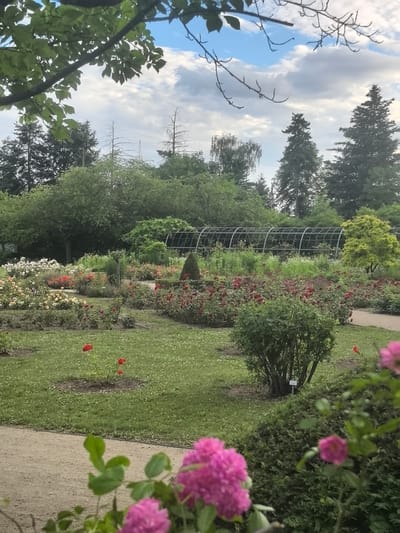 The image depicts a beautiful rose garden with a variety of blooming roses in shades of red, white, and yellow. The garden is well-maintained with manicured lawns and pathways. In the background, there is a large greenhouse structure, suggesting the possibility of a botanical garden or a public park. Tall trees and lush greenery surround the garden, creating a serene and picturesque atmosphere. The sky above is partly cloudy, with hints of blue sky peeking through. The scene is peaceful and evokes a sense of tranquility. The location is the Rosarium in Hattersheim, Germany.
