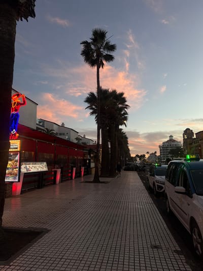 A sideways view features a palm-lined street at dusk. A towering palm tree dominates the left. Buildings with a red awning line the sidewalk, adorned with glowing neon lights. Taxis are parked along the right side of the street, where the tiled sidewalk extends into the distance. The sky is a blend of purple and pink hues, hinting at a beautiful sunset.