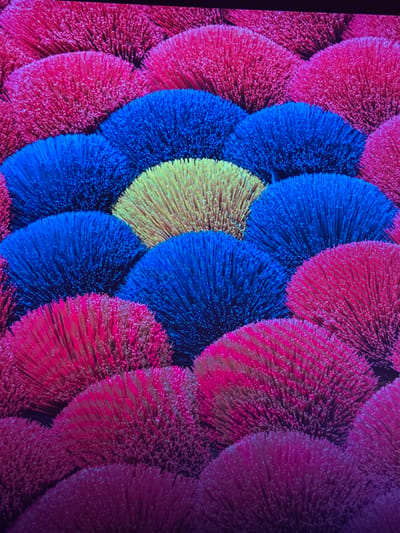 The image displays a close-up, overhead view of a dense arrangement of vibrant, fluffy, brush-like objects. These objects are arranged in a scalloped pattern, with each forming a semi-circular mound. The colors are predominantly bright pink, electric blue, and a single section of bright yellow. The texture appears soft and uniform, with individual bristles visible within each mound. The lighting emphasizes the bright, saturated colors. The background is dark and indistinct, suggesting artificial lighting or a controlled environment.

There is no visible indication of the city of Edmonton, Canada. The scene is entirely focused on the abstract arrangement of colorful objects.