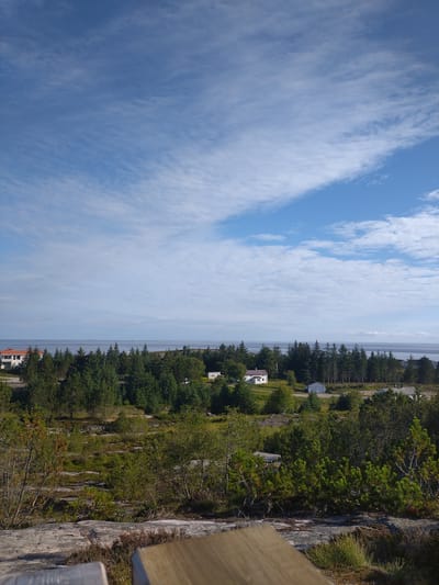 The image depicts a scenic overlook in Sveggen, Norway. The foreground features a wooden bench, its weathered planks partially obscuring a rocky, uneven terrain dotted with low-lying vegetation and some sparse pine trees.
Beyond the immediate foreground, a dense forest of evergreen trees stretches across the middle ground, interspersed with patches of open, rocky ground. A few small, white-colored houses and one larger building with a reddish-brown roof are visible amidst the trees. A paved road runs through this area, with a few parked vehicles.
The background is dominated by the calm, expansive waters of the sea, meeting a distant, hazy horizon under a bright blue sky. The sky is adorned with wispy white clouds, streaked across the expanse, indicating fair weather. The overall scene conveys a sense of peaceful, natural beauty characteristic of coastal Norway.