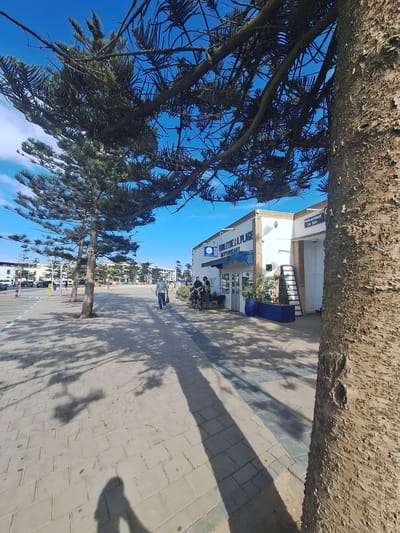 This image captures a sunlit scene in Essaouira, Morocco, likely along the waterfront promenade. A large tree trunk, textured and brown, dominates the right foreground, its branches reaching upwards and casting dappled shadows on the paved ground. The ground is made of light-colored rectangular pavers, interspersed with darker rectangular sections, creating a patterned walkway.
Beyond the tree, a white building with a blue awning and signage reading "CHALET DE LA PLAGE RESTAURANT" is visible. A blue planter with green plants sits in front of the building. To the left of the building, a person in a plaid shirt walks away from the camera, carrying a red bag. Two individuals on bicycles are also visible near the restaurant entrance.
In the background, more trees and buildings line the street, with cars parked in designated areas. The sky is a vibrant blue with scattered white clouds. The overall impression is of a pleasant day in a coastal Moroccan city, with a focus on outdoor dining and pedestrian activity. The presence of the "Chalet de la Plage" restaurant and the coastal ambiance strongly suggest this location is within Essaouira's well-known beachfront area.