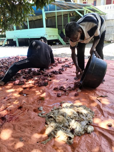 The image shows two men processing meat on an orange tarp outdoors in Uleegajah, Indonesia. One man is crouching, surrounded by chunks of raw meat, while the other is emptying a large black bucket onto the tarp, also filled with meat. A pile of offal lies in the foreground. The setting appears to be a yard, with a raised, light-green building with corrugated metal visible in the background and another person sitting.