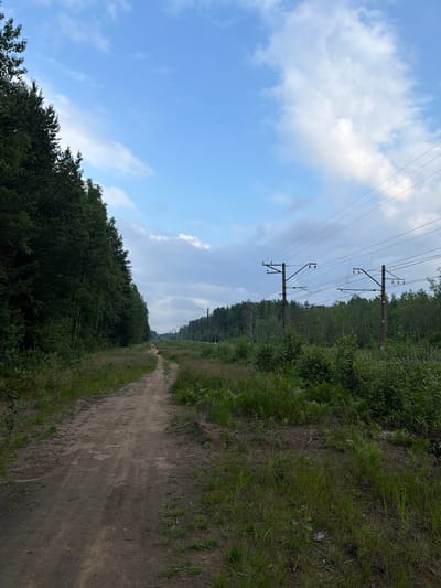 This media file captures a view along a dirt path adjacent to a dense forest, with power lines stretching into the distance. The scene depicts a natural, undeveloped setting, likely a rural area or the outskirts of a town. The path appears well-trodden, suggesting it's a frequently used route. The forest on the left is lush and green, dominated by deciduous trees, while the right side of the path features a mix of grass and some scattered wildflowers, with more trees lining the horizon.
Prominently featured are the power lines, supported by wooden utility poles, which run parallel to the path. These lines extend far into the background, disappearing into the tree line, indicating a connection to infrastructure within or near this natural landscape. The sky above is partly cloudy, with patches of blue sky interspersed with white, fluffy clouds. The lighting suggests it is daytime, possibly late afternoon or early morning, given the soft quality of the light. There is no visible text in the image. The overall impression is one of a tranquil, somewhat isolated, natural environment.