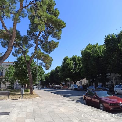 The image captures a street scene in Ruvo di Puglia, Italy, on July 6, 2026, at 09:47. The foreground features a paved sidewalk with large, light-colored rectangular stones. To the left, a park bench and a gray trash receptacle are visible, surrounded by dry grass and scattered pine cones. Large pine trees with rough bark and dense green foliage dominate the left side of the frame, their branches extending towards a clear blue sky.
The street itself is lined with a row of mature trees, casting shadows onto the asphalt. Several cars are parked along the street, including a dark red Alfa Romeo sedan prominently positioned in the lower right portion of the image. Other vehicles visible include a white van, a dark SUV, a dark blue car, and a silver car. In the background, buildings with red-tiled roofs and the upper floors of some structures can be seen peeking through the trees. A single bird is visible in flight against the bright sky. The overall impression is a sunny day in a moderately urban environment characterized by significant greenery.