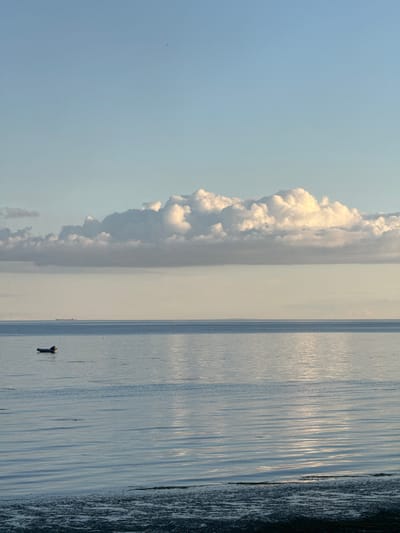 The image depicts a serene seascape with a clear sky transitioning into a light haze near the horizon. A large, fluffy cloud formation stretches across the upper middle portion of the frame, catching the sunlight. The calm water in the foreground exhibits gentle ripples and reflects the sky and the clouds. In the middle distance, a small, dark boat with a person sitting in it is visible, and further out, a large cargo ship is discernible on the horizon. The bottom edge of the image shows a narrow strip of dark, textured shoreline or shallow water. The overall impression is one of tranquility and vastness, characteristic of a coastal scene. This scene is likely located near Fort Krasnaya Gorka, a historical coastal fortification in Russia, known for its scenic coastal views.