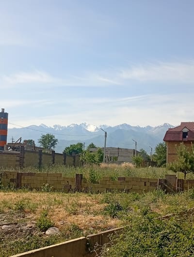 This is a vertical, eye-level, full shot photograph of a rural landscape in Tash-Moinok, Kyrgyzstan. The sky is a clear, pale blue with wispy white clouds. In the foreground, a low, unfinished brick wall runs horizontally across the frame, overgrown with dry grass and some green foliage. Beyond the wall, there is more dry grass and patches of green plants, with a few scattered rocks.

In the mid-ground, a more substantial, unfinished brick wall is visible, constructed from pale yellow bricks. To the left of this wall, there is a tall industrial structure with orange and blue cylindrical sections, possibly a silo or part of a construction site. Adjacent to it are some construction materials and scaffolding. A single tree with dark green foliage stands between this industrial element and the brick wall. Further to the right, a house with a red tile roof is partially visible. There are also some scattered trees and bushes throughout the mid-ground. Several lampposts are dotted across the scene.

In the background, a majestic mountain range dominates the horizon. The peaks of these mountains are capped with snow, contrasting with the lower, verdant slopes. The mountains appear distant and imposing. The overall impression is one of a developing rural area with a beautiful natural backdrop. The lighting suggests it is daytime, likely late morning or early afternoon, given the bright sky and shadows. There is no text visible in the image.