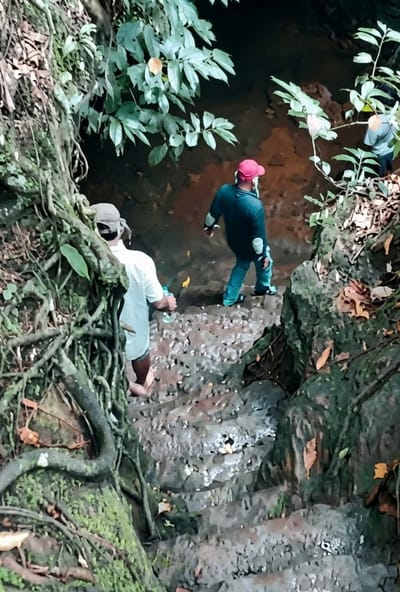 The image depicts a descending path through a lush, overgrown environment, likely a natural trail within the city of Penungkiren, Indonesia. Two individuals are visible, navigating the uneven, rocky steps. The person in the foreground, seen from the back, wears a white shirt and shorts, holding a clear plastic water bottle. They are barefoot, suggesting the path may be wet or require it. Behind them, a second individual in a dark long-sleeved shirt, blue jeans, and a red cap also moves down the path. This person appears to be wearing dark sandals or shoes and has a white cloth around their face. The surrounding environment is characterized by dense foliage, thick roots protruding from the terrain, and damp, moss-covered rocks forming the steps. Sunlight filters through the leaves, creating a dappled effect on the path. The overall impression is one of an adventurous trek through a tropical, potentially humid, and natural landscape.
